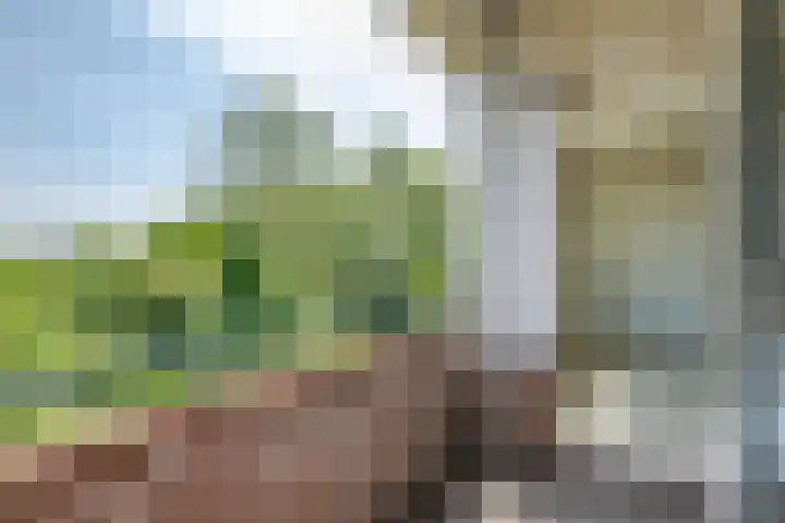 Ruigoord 196 Rotterdam thumbnail 21