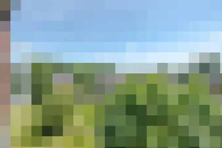 Ruigoord 196 Rotterdam thumbnail 22
