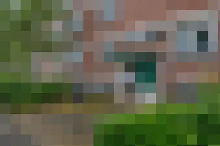 Ruigoord 196 Rotterdam thumbnail 7
