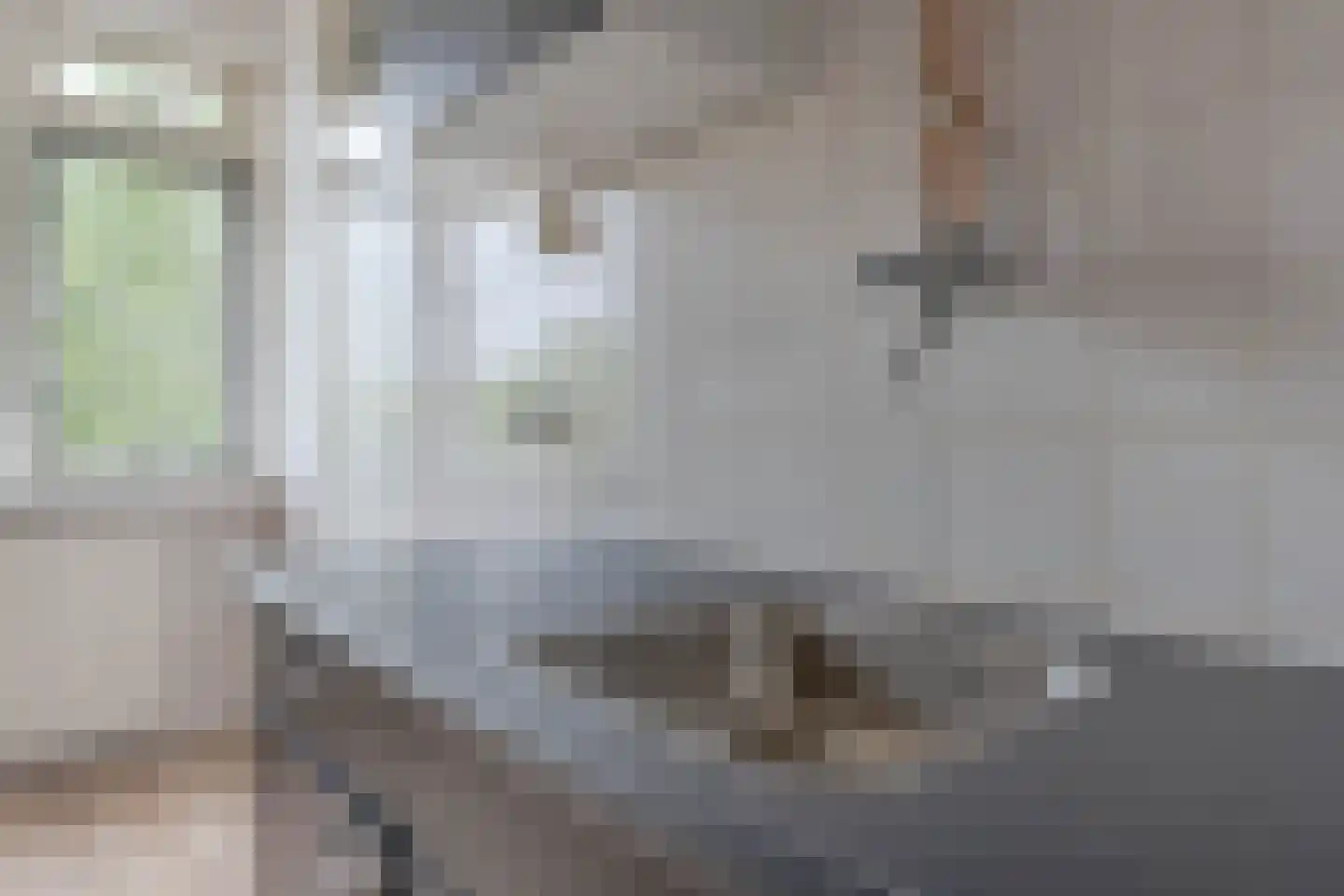 Ruigoord 204 Rotterdam thumbnail 13