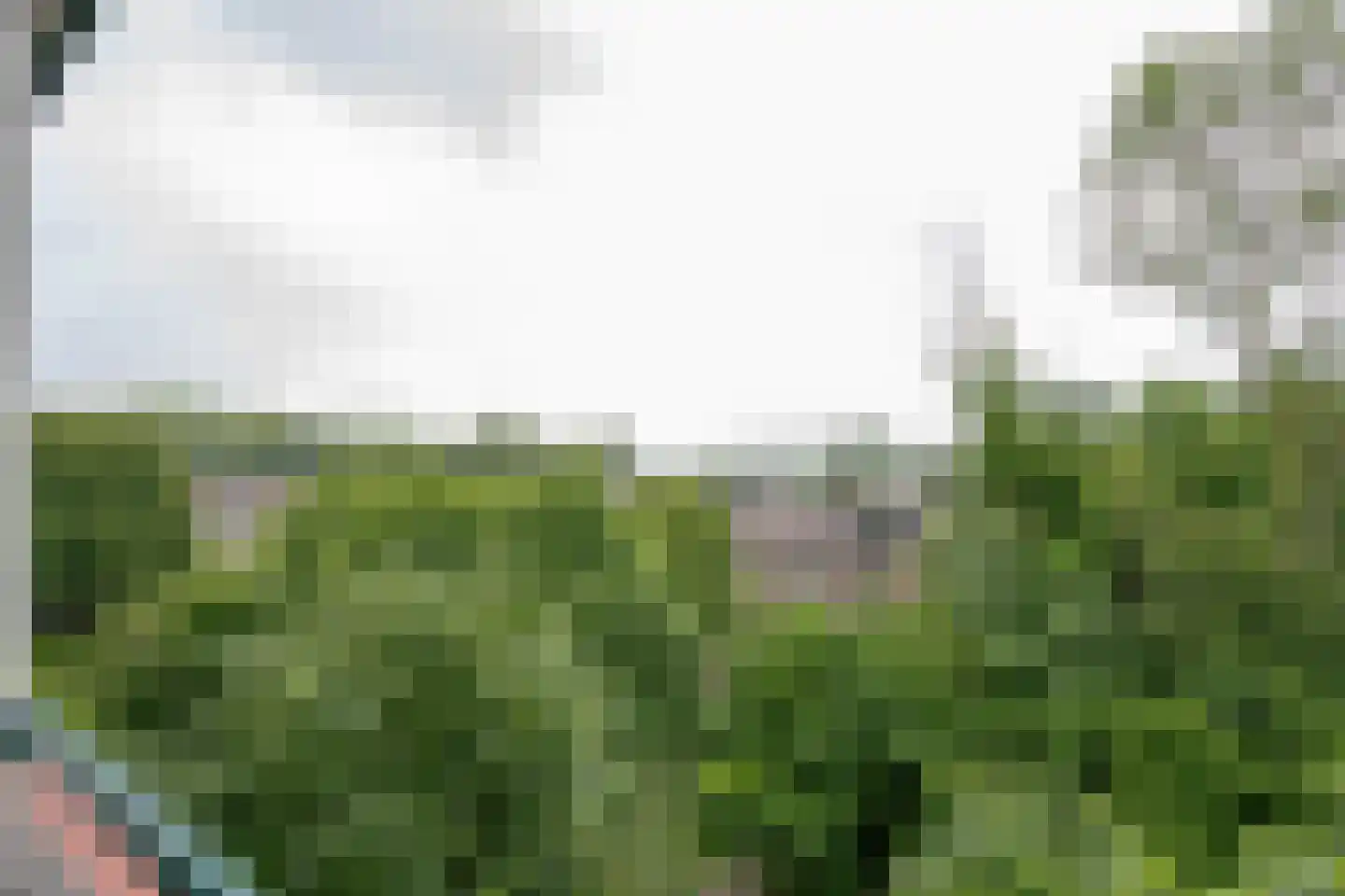 Ruigoord 204 Rotterdam thumbnail 24
