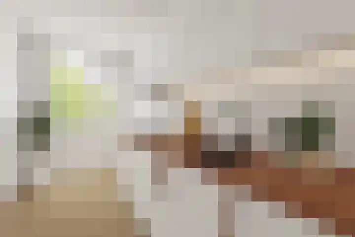 Ruigoord 214 Rotterdam thumbnail 10