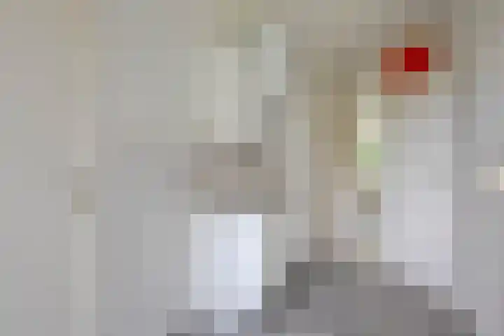 Ruigoord 214 Rotterdam thumbnail 11