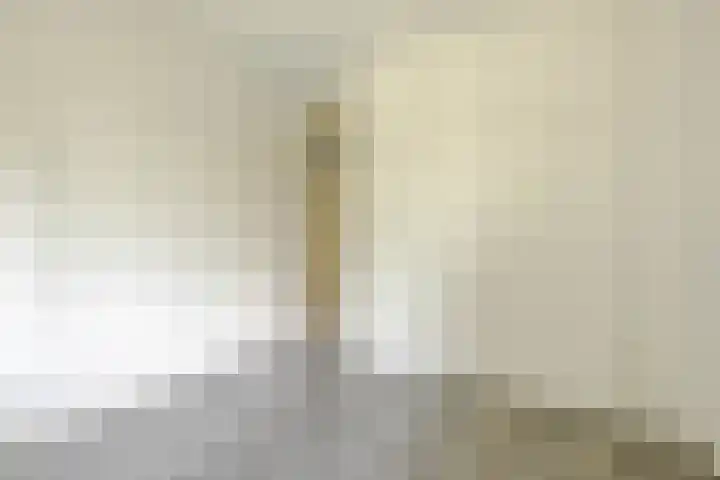 Ruigoord 214 Rotterdam thumbnail 13