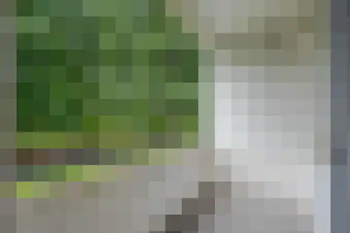 Ruigoord 214 Rotterdam thumbnail 15