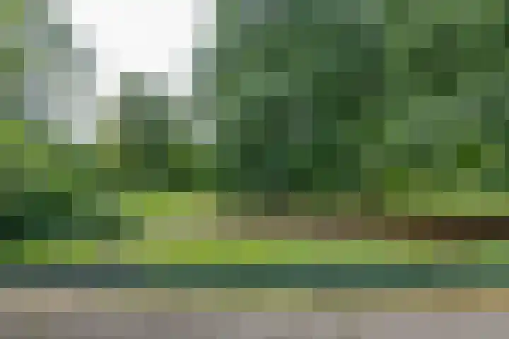 Ruigoord 214 Rotterdam thumbnail 16