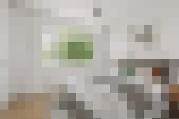 Ruigoord 214 Rotterdam thumbnail 18