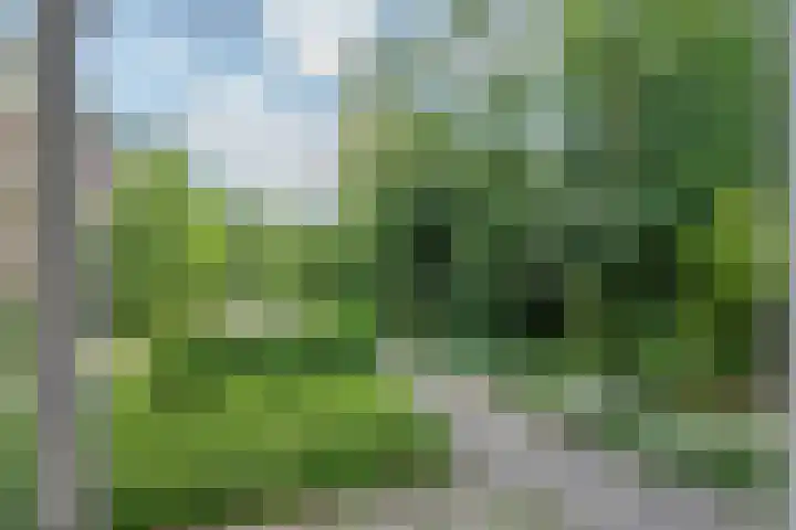 Ruigoord 214 Rotterdam thumbnail 22