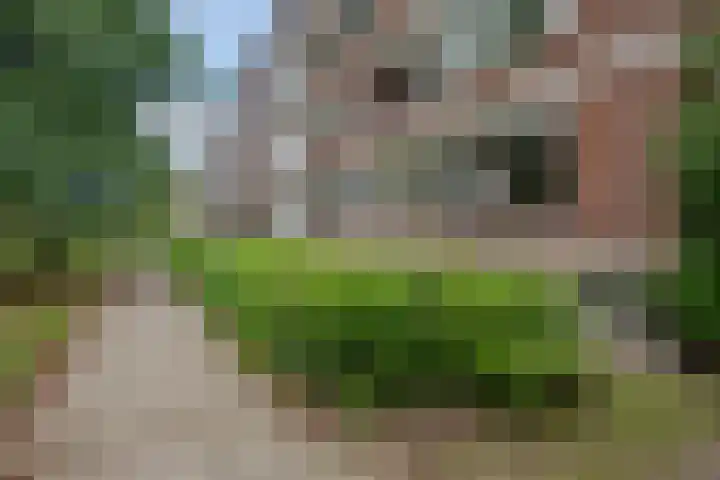 Ruigoord 214 Rotterdam thumbnail 23