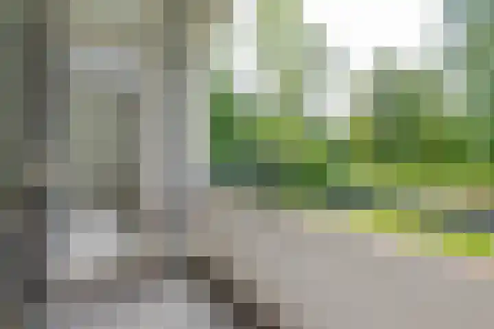 Ruigoord 214 Rotterdam thumbnail 5