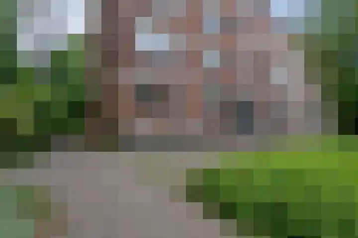 Ruigoord 214 Rotterdam thumbnail 6