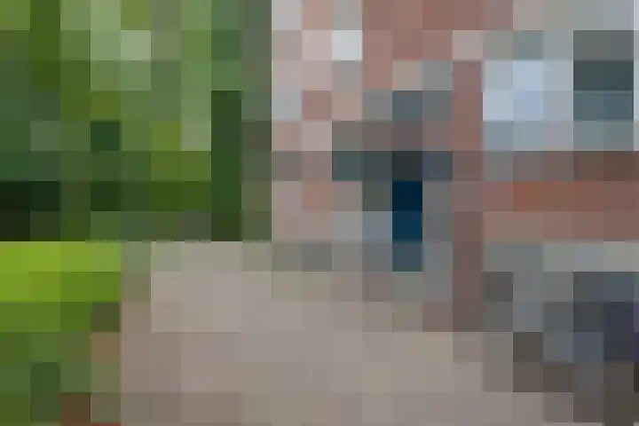 Ruigoord 214 Rotterdam thumbnail 7