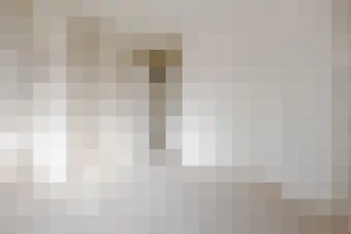 Ruigoord 218 Rotterdam thumbnail 16
