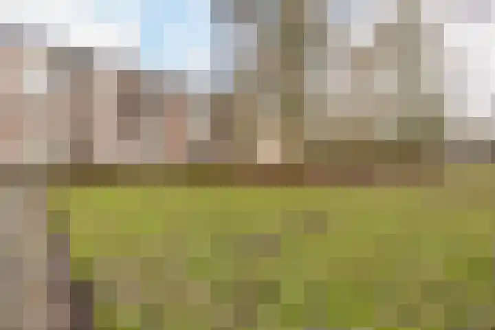 Ruigoord 218 Rotterdam thumbnail 23