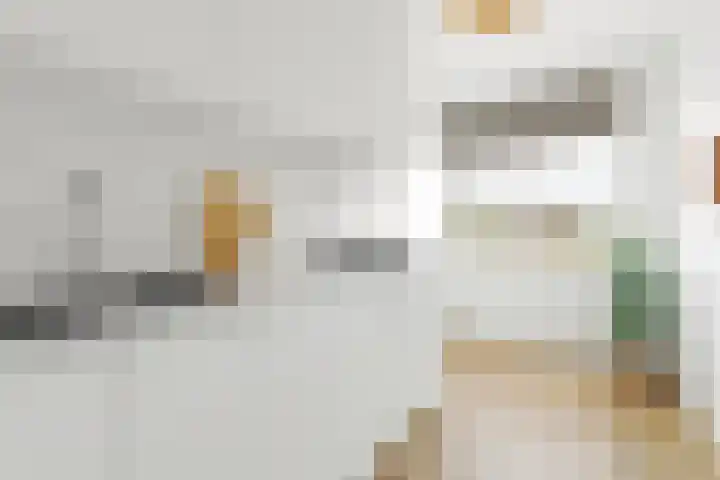Ruigoord 228 Rotterdam thumbnail 10
