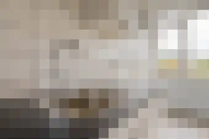 Ruigoord 228 Rotterdam thumbnail 12