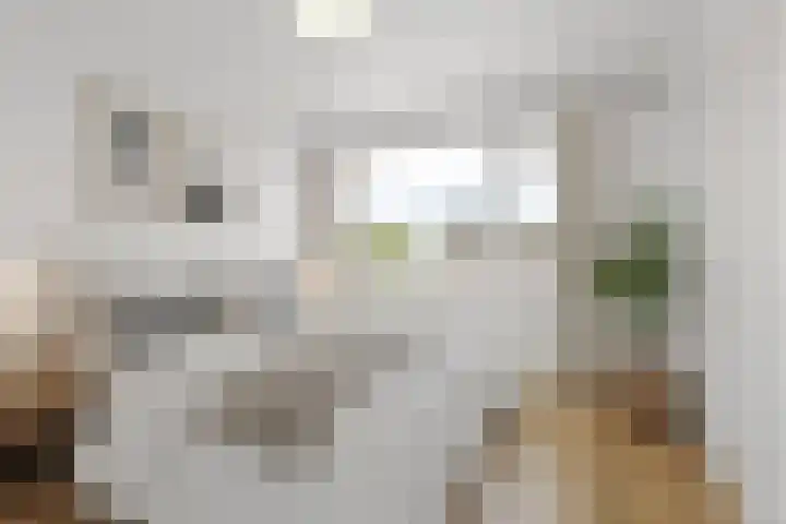 Ruigoord 228 Rotterdam thumbnail 14