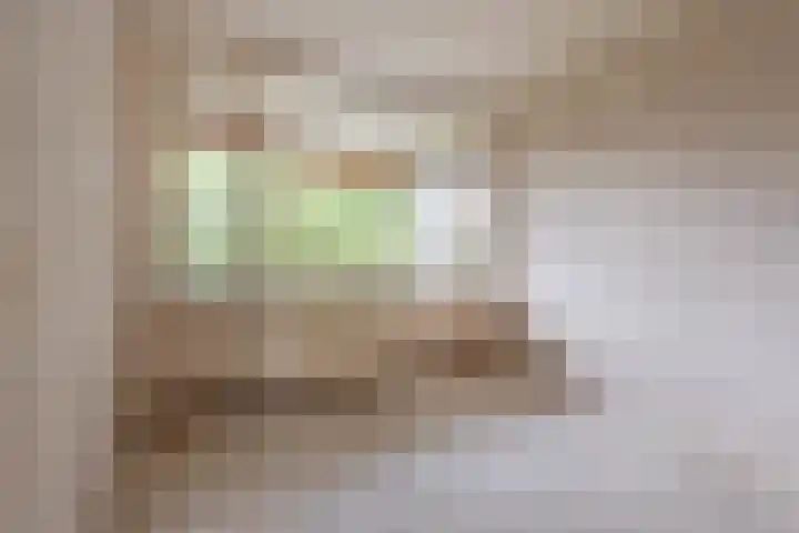 Ruigoord 228 Rotterdam thumbnail 17