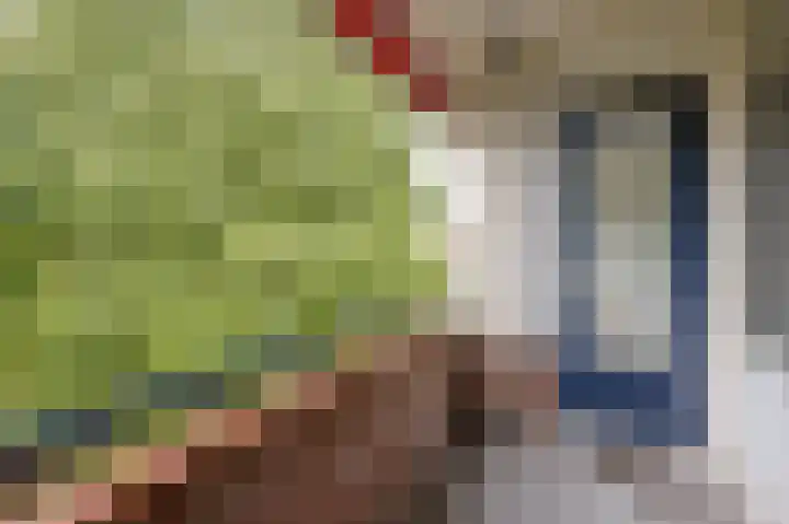 Ruigoord 228 Rotterdam thumbnail 23