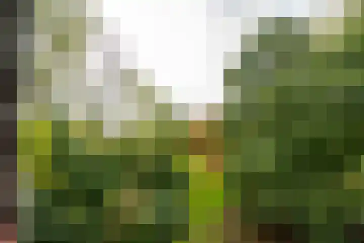 Ruigoord 228 Rotterdam thumbnail 24