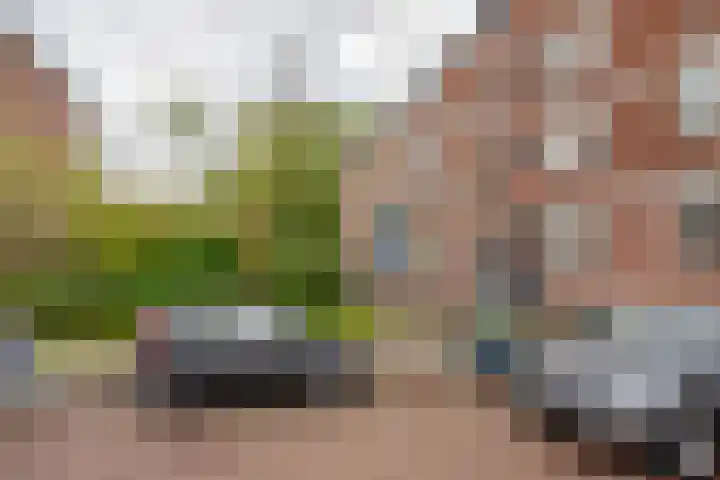Ruigoord 228 Rotterdam thumbnail 25