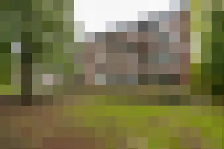 Ruigoord 228 Rotterdam thumbnail 26