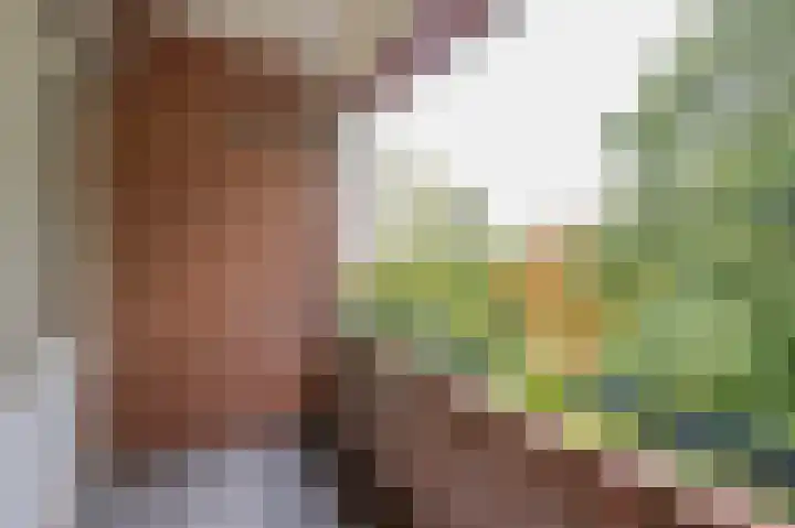 Ruigoord 228 Rotterdam thumbnail 5