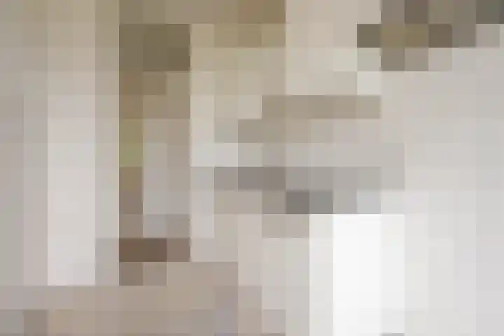 Ruigoord 228 Rotterdam thumbnail 8