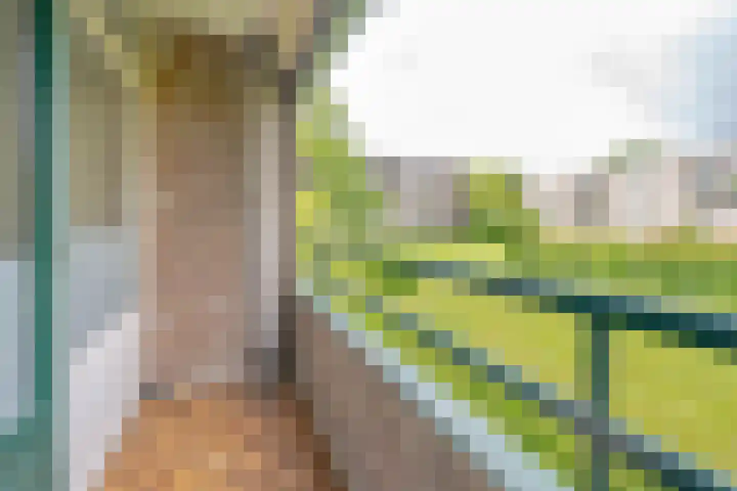 Ruigoord 25 Rotterdam thumbnail 5
