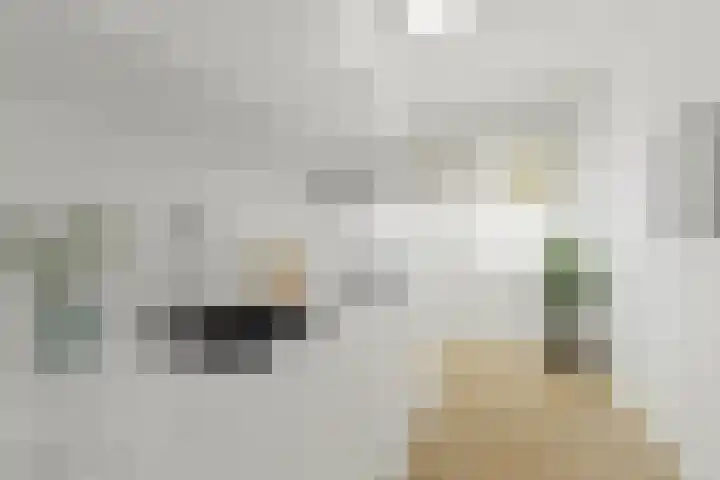 Ruigoord 256 Rotterdam thumbnail 14