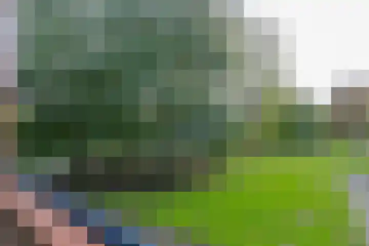 Ruigoord 256 Rotterdam thumbnail 17