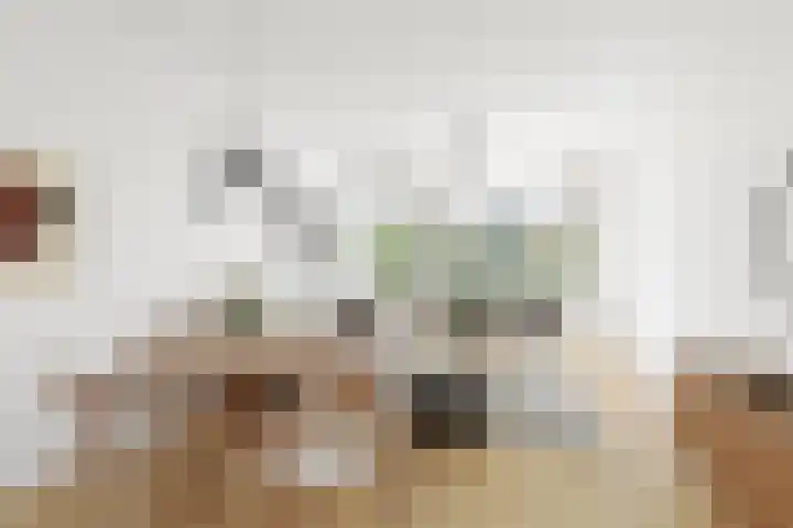 Ruigoord 264 Rotterdam thumbnail 11