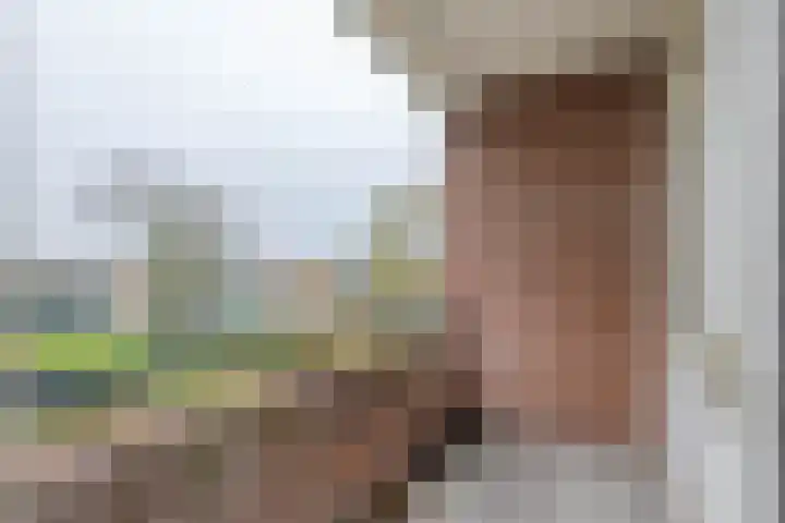 Ruigoord 264 Rotterdam thumbnail 12