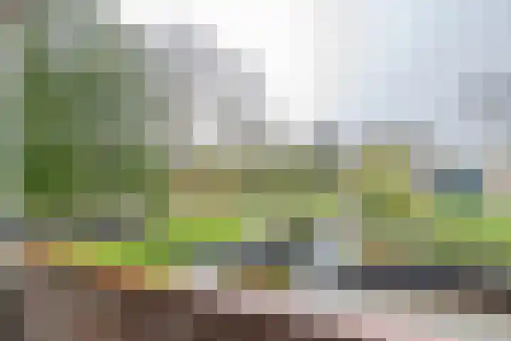 Ruigoord 264 Rotterdam thumbnail 14