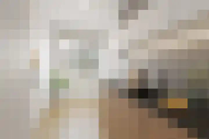 Ruigoord 264 Rotterdam thumbnail 4