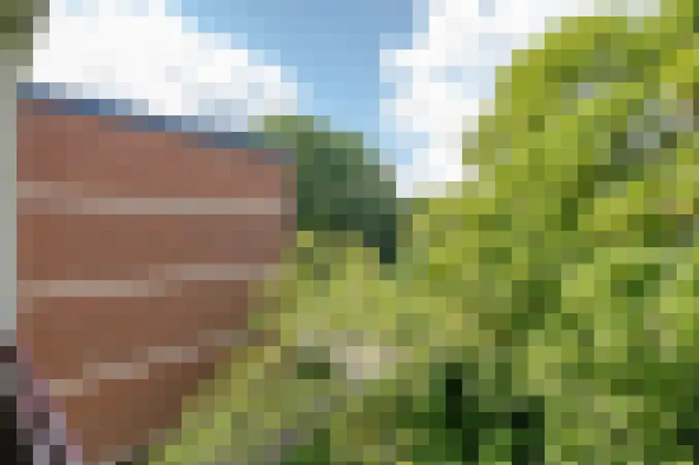 Ruigoord 282 Rotterdam thumbnail 10