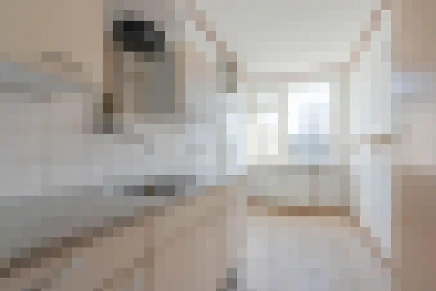 Ruigoord 304 Rotterdam thumbnail 12