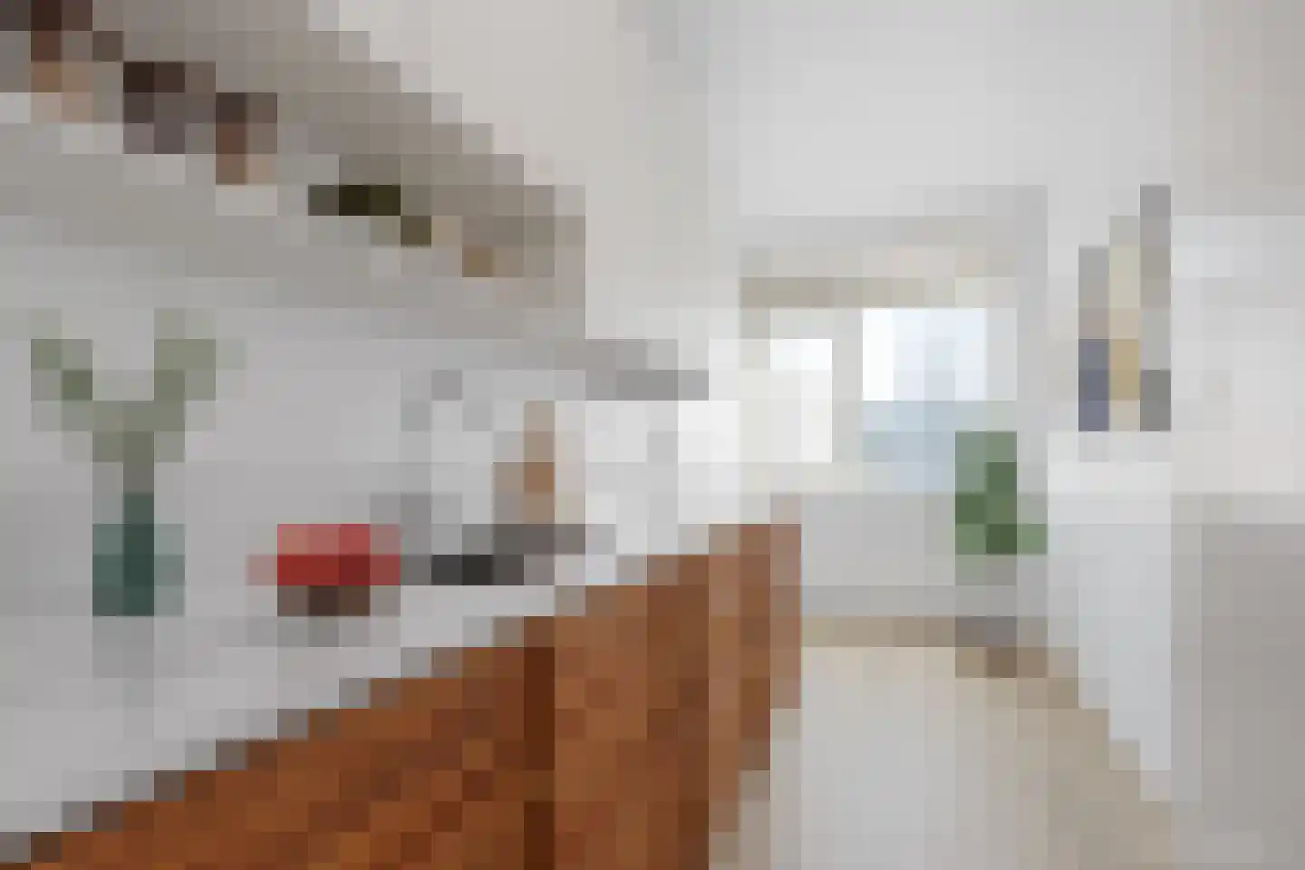 Ruigoord 304 Rotterdam thumbnail 13