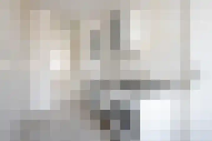 Ruigoord 306 Rotterdam thumbnail 11
