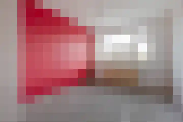 Ruigoord 306 Rotterdam thumbnail 14