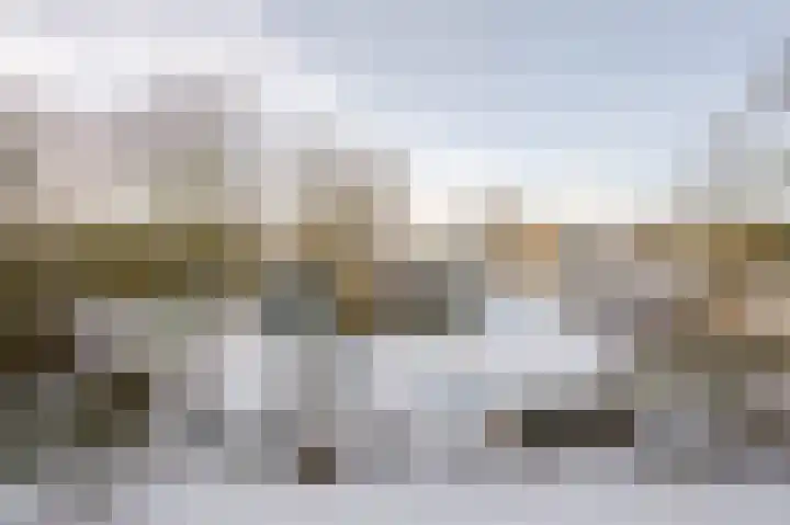 Ruigoord 306 Rotterdam thumbnail 21