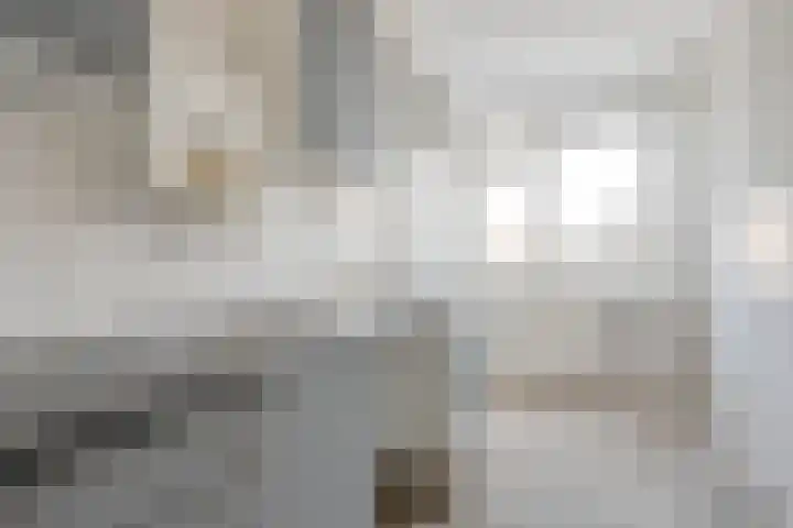 Ruigoord 306 Rotterdam thumbnail 4