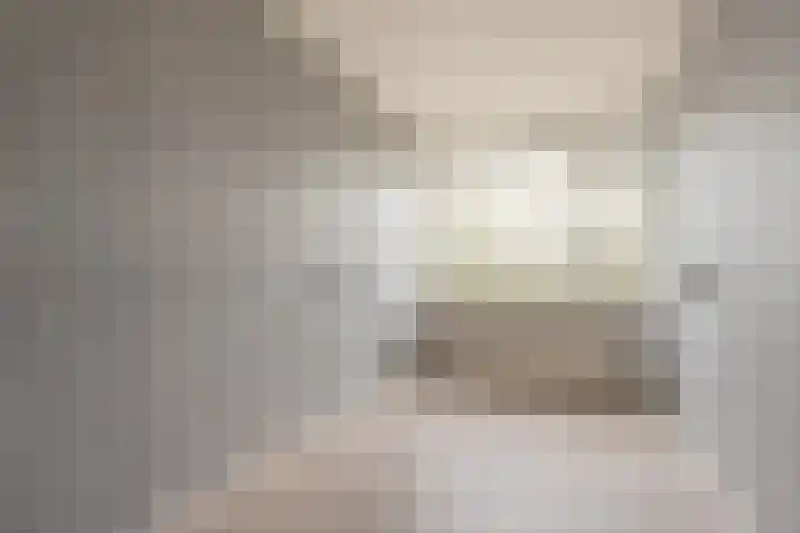 Ruigoord 32 Rotterdam thumbnail 13
