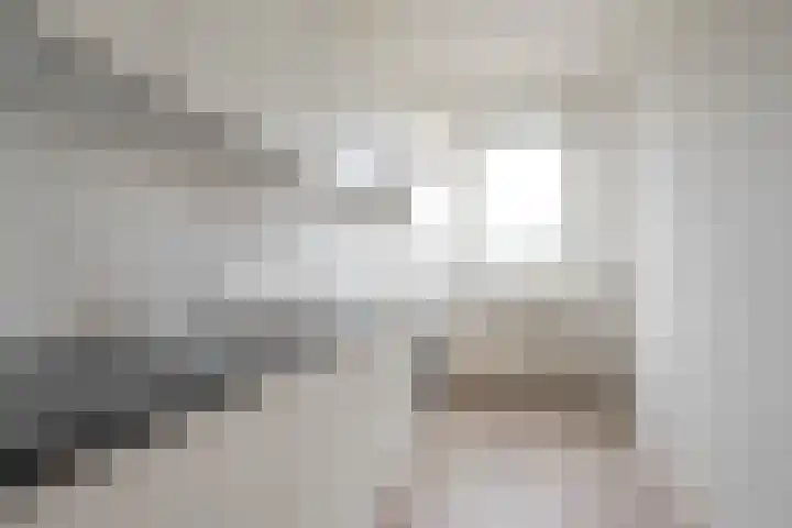 Ruigoord 32 Rotterdam thumbnail 4