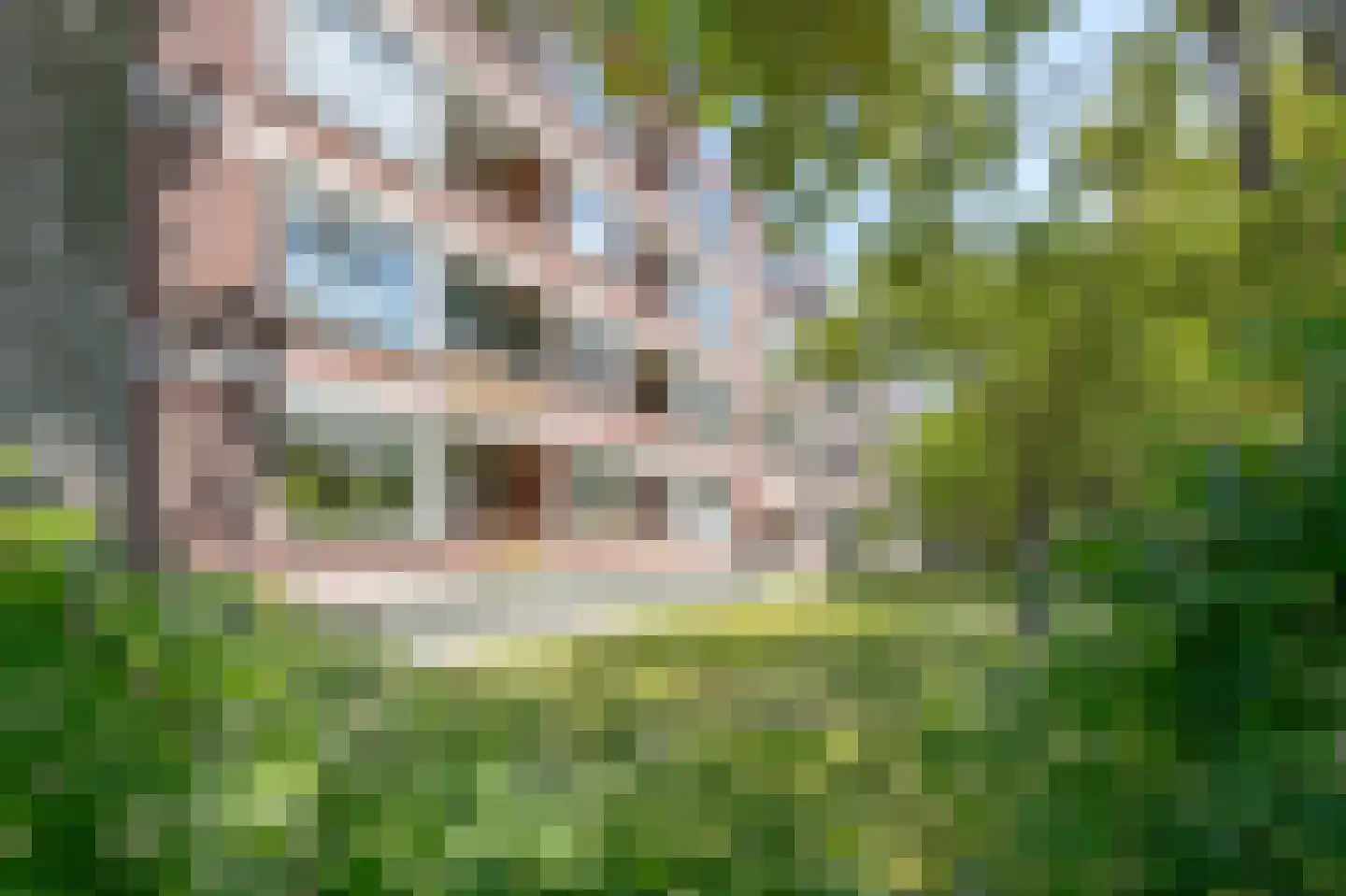 Ruigoord 324 Rotterdam thumbnail 26