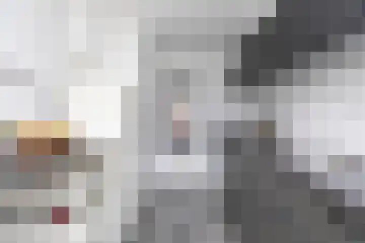 Ruigoord 41 Rotterdam thumbnail 10