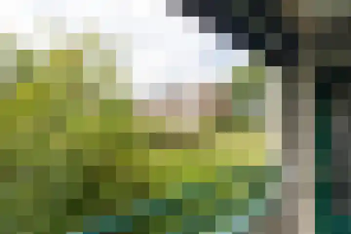 Ruigoord 41 Rotterdam thumbnail 19
