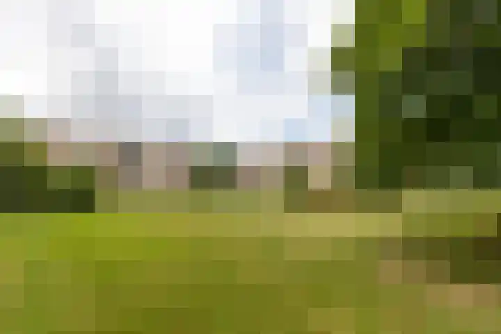 Ruigoord 41 Rotterdam thumbnail 20