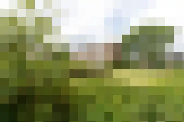 Ruigoord 41 Rotterdam thumbnail 4
