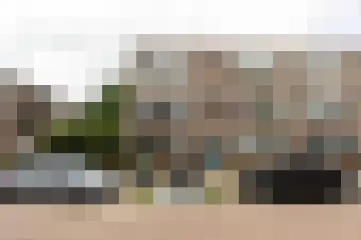 Ruigoord 41 Rotterdam thumbnail 5
